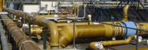 Development of a Biodiesel facility Rotterdam